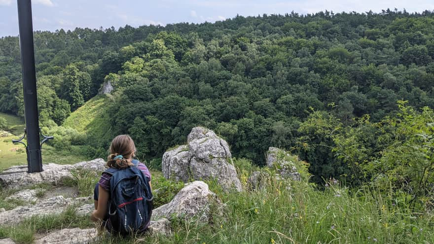 Widok ze Skały Kmity