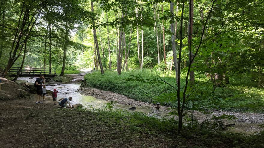 Raclawka Valley - Racławka stream