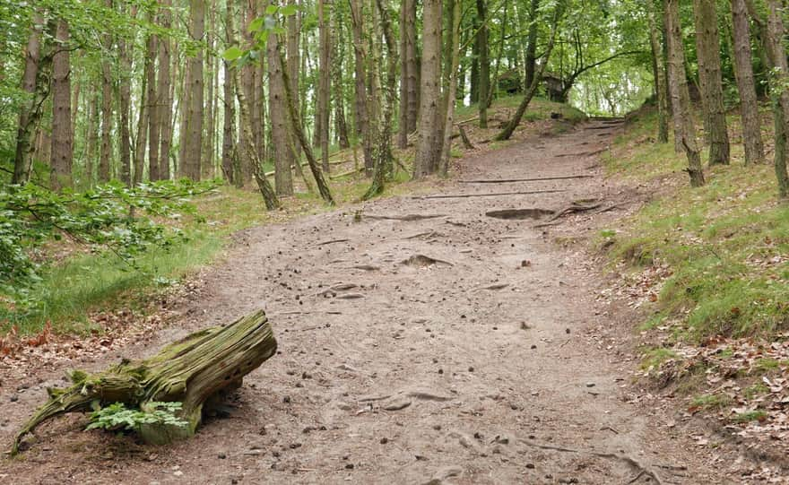 Dojście do latarni Kikut, czerwony szlak - najtrudniejszy odcinek