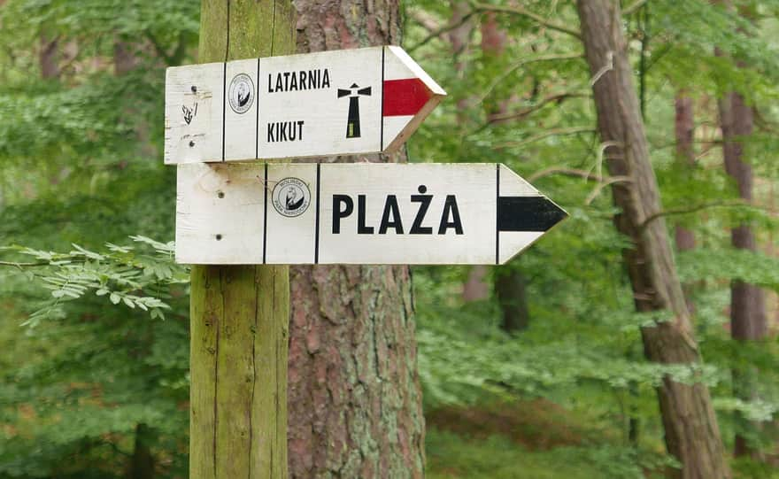 Red and black trail near Wisełka, Wolin Island