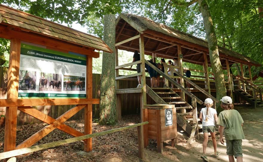 Bison Farm in Międzyzdroje