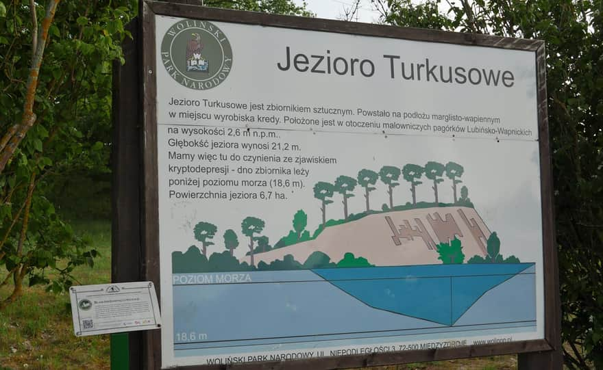 Jeziorko Turkusowe w Wapnicy