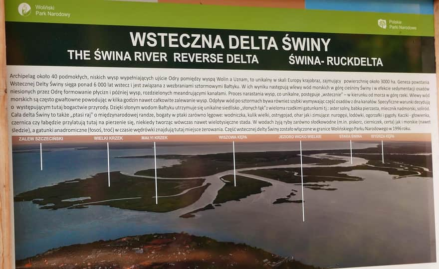 Wzgórze Zielonka, Lubin - Delta Wsteczna Świny