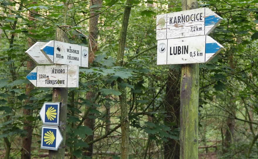 Blue trail near Zielonka Hill in Lubin