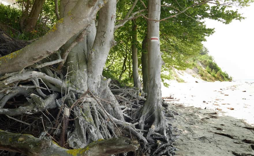 Wolin Island, red trail along the cliff coast