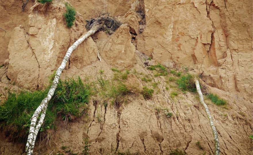 Wyspa Wolin, wybrzeże klifowe