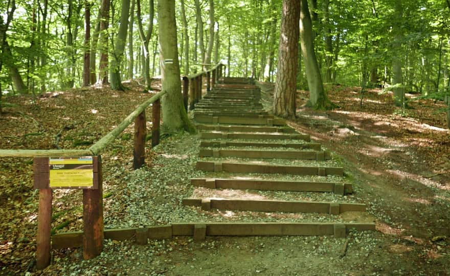 Black trail, entrance to Biała Góra from the Kwasowo parking lot side