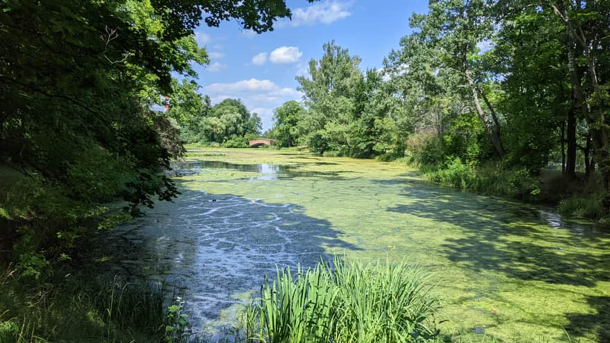 Roman Bridge