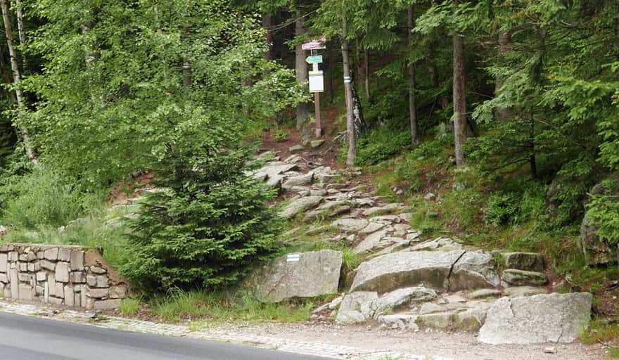 Zielony szlak - droga Bronka Czecha, wejście w las