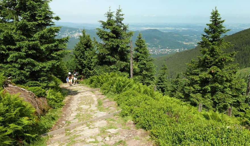 Sowia Dolina - black trail, view of Karpacz