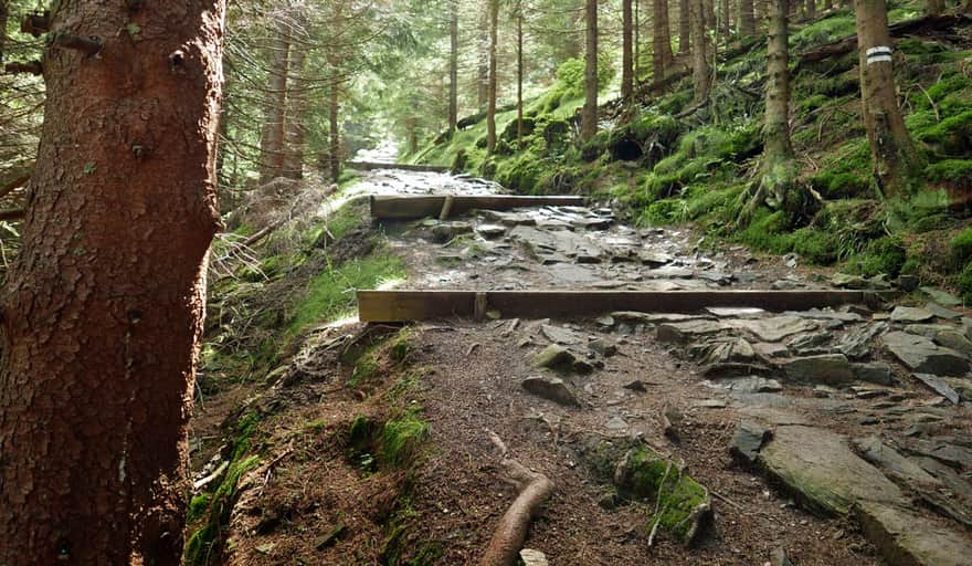 Sowia Dolina - Black Trail, steep ascent to Sowia Przełęcz