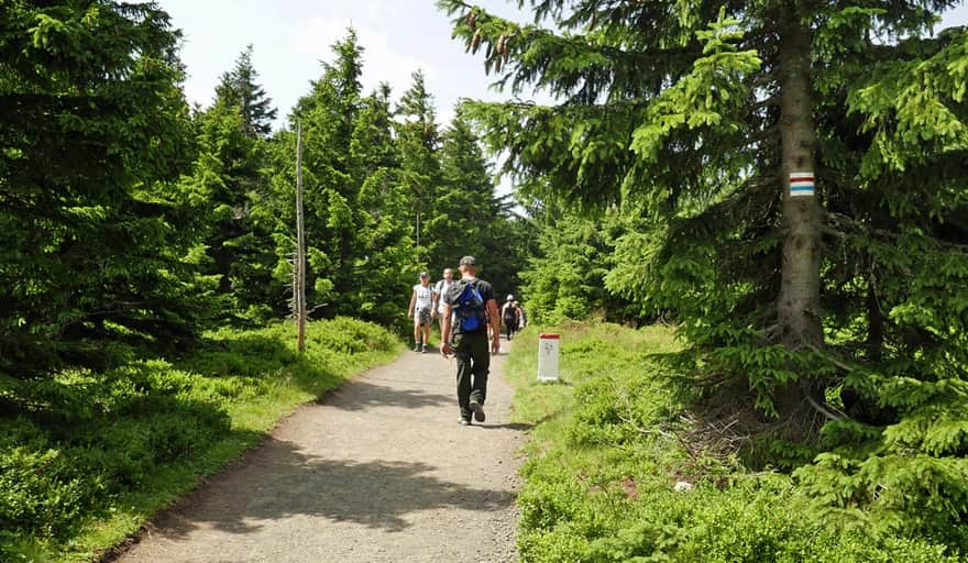 From Sowia Przełęcz to Jelenka shelter