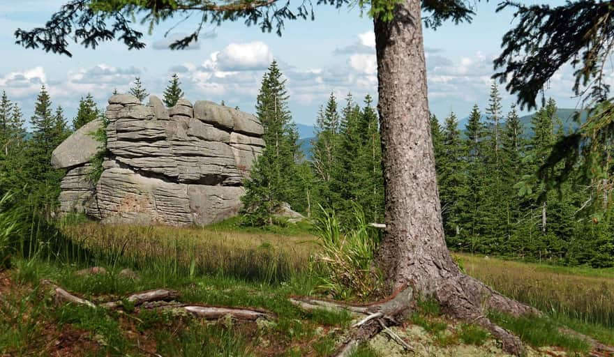 Kotki Rocks on the Meadow