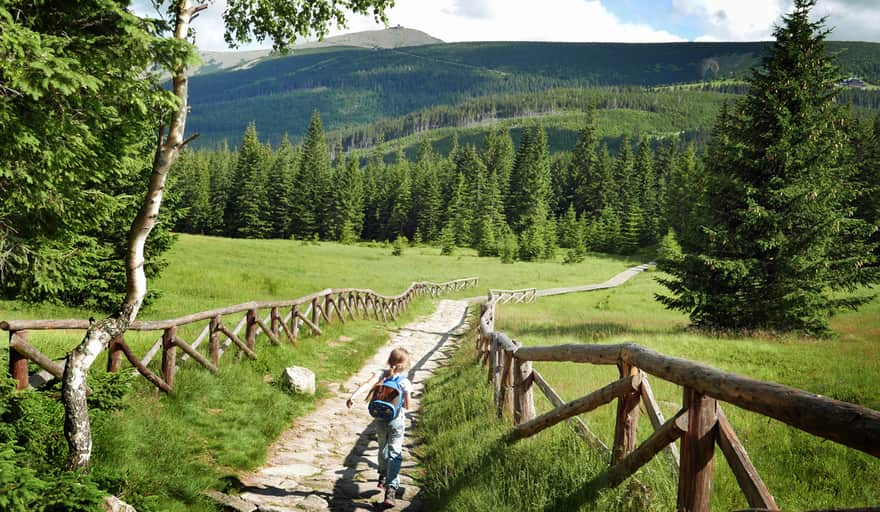 Panorama of the Karkonosze Mountains from the glade