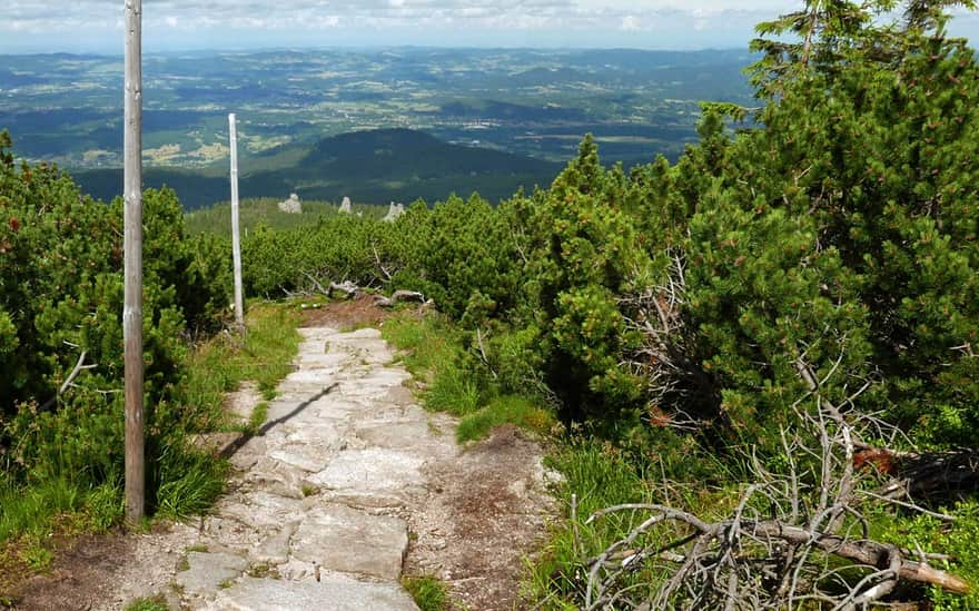 Pielgrzymy (Pilgrims) seen from Słonecznik (Sunflower)