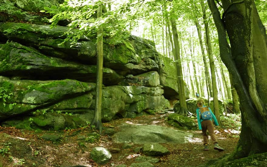 Chojnik Castle - yellow trail