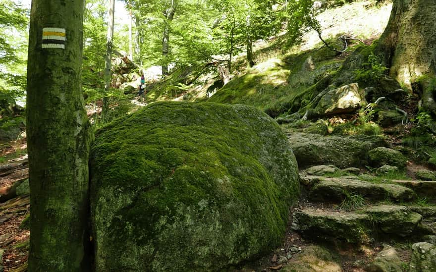 Zamek Chojnik - Schody Kunegundy