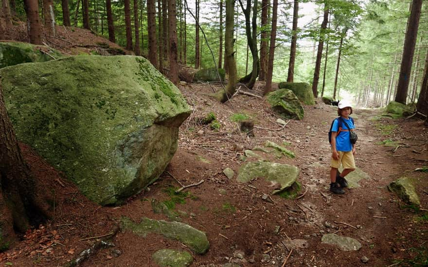 Green trail from Karpacz to Borowice