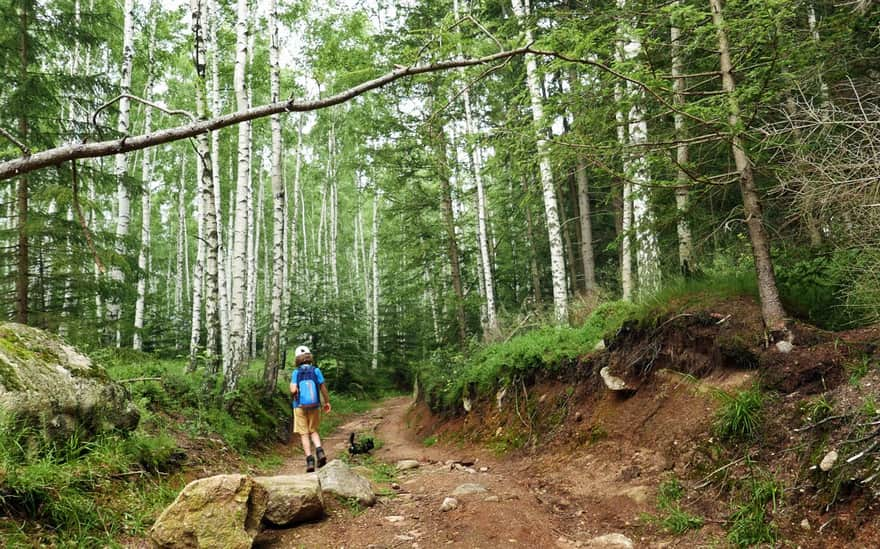 Green trail from Karpacz to Borowice