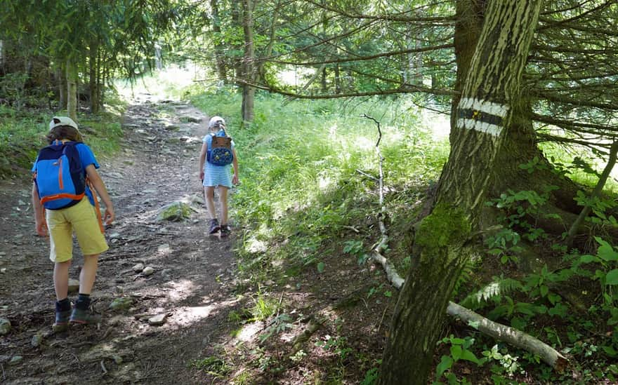 Yellow-black trail from Borowice to Jodłówka Waterfall and Karpacz