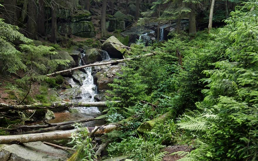 Jodłówka Waterfall in Borowice