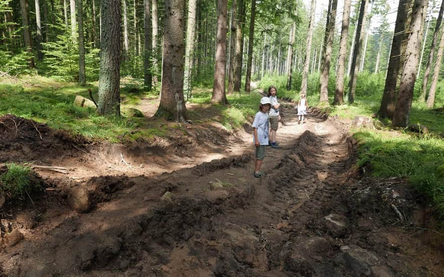 Zielony szlak Borowice - Przesieka