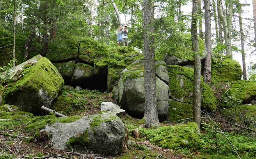 Green trail Borowice - Przesieka - Tors rocks