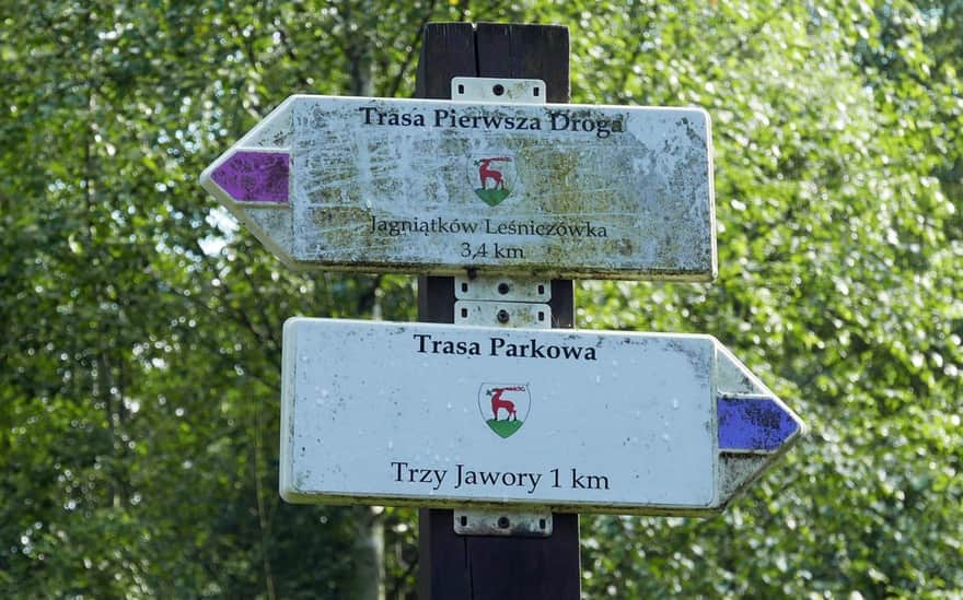 Walking paths in Jagniątków