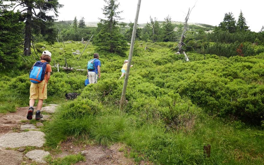 Coral Trail - Upper Section