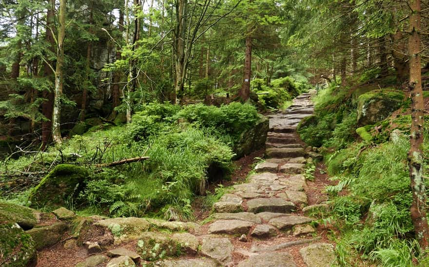 Coral Path - path near Paciorki rocks