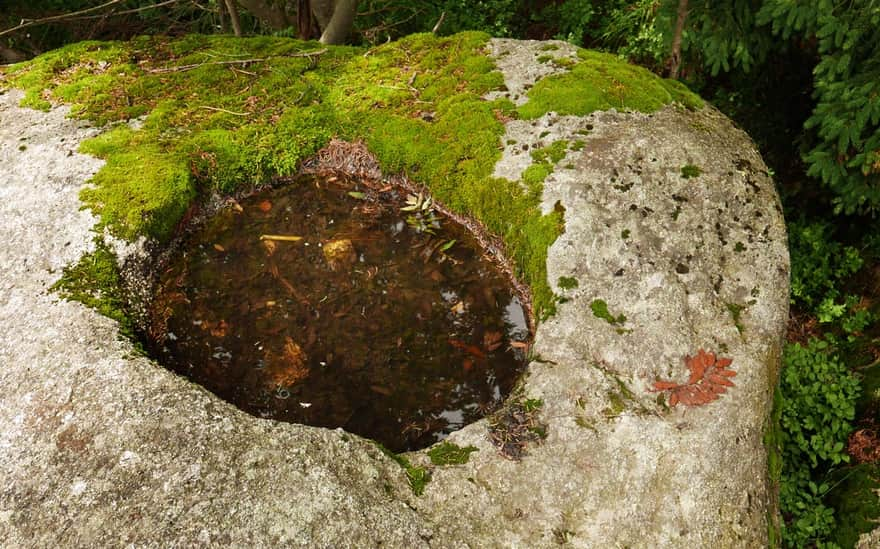 Weathering Basin on Paciorki Rocks on the Coral Trail (Blue Trail from Jagniątków)