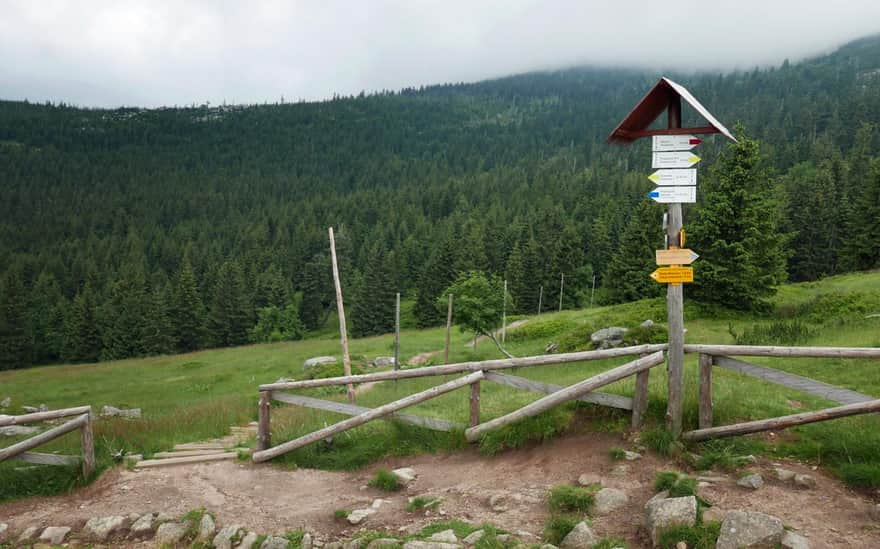 Black trail from Pod Łabski Szczyt Shelter to Jagniątkowo