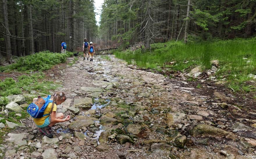 Black trail from Pod Łabski Szczyt Shelter to Jagniątkowo