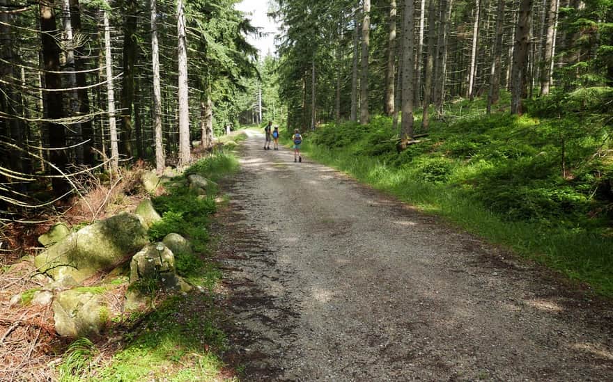 Black trail from Pod Łabski Szczyt Shelter to Jagniątkowo
