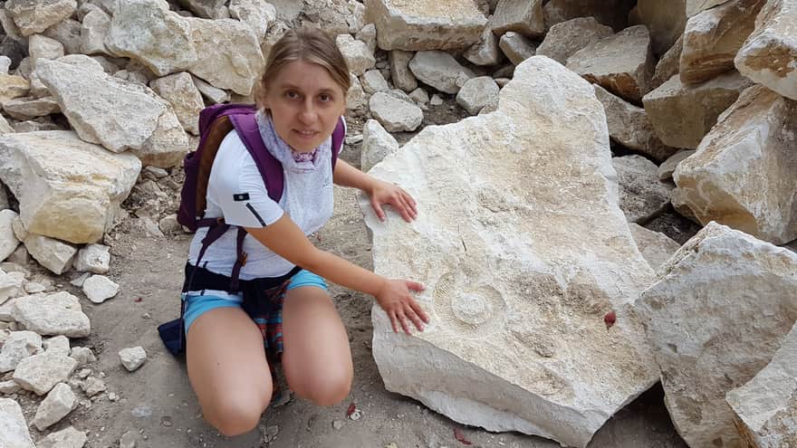 Imprint of an ammonite shell - look for them in the castle walls!