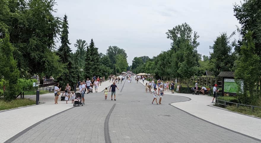 Warsaw Zoo - main path