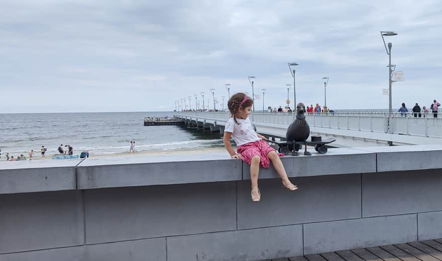 Friendly Seagulls of Kołobrzeg