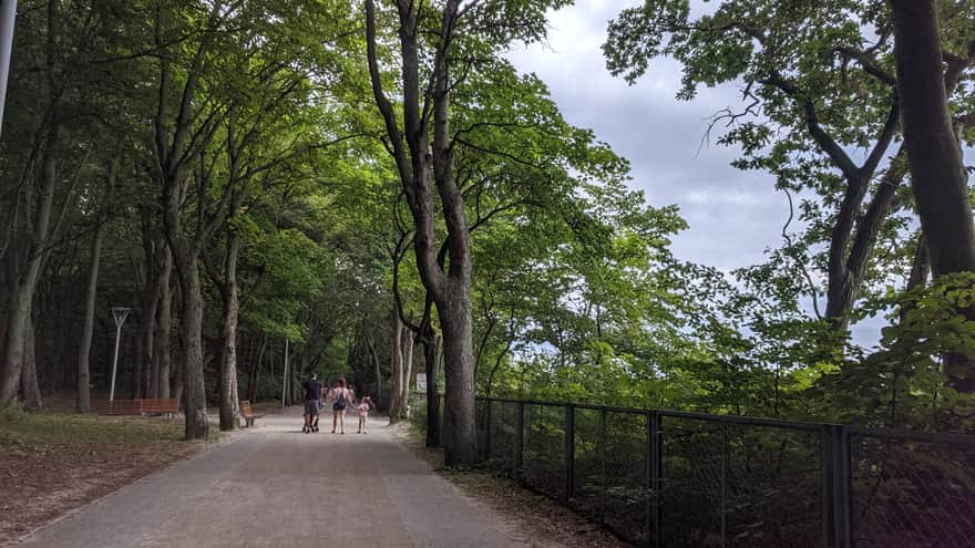 Park alleys stretching along the beach