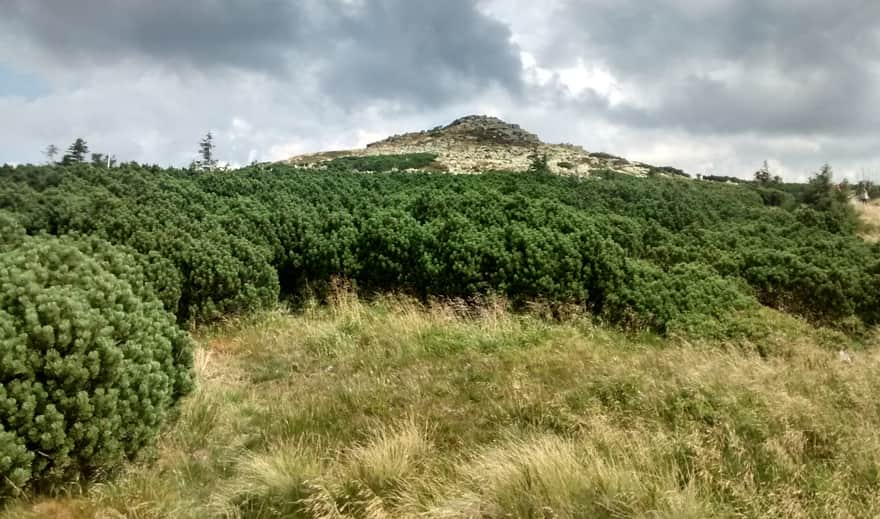 View from Szrenica Mountain