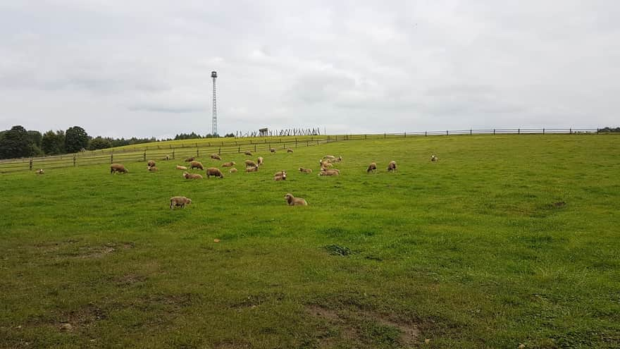 Florianka - Roztoczański Park Krajobrazowy Animal Conservation Breeding Farm