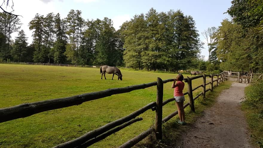 Florianka - Hodowla Zachowawcza Zwierząt Roztoczański Park Krajobrazowy