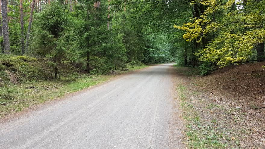 Florianka Road in Zwierzyniec