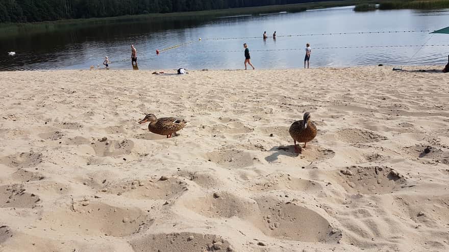 Echo Ponds Bathing Area