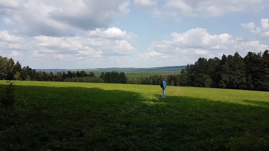 Teren przy wieży widokowej na Zwierzyńcu