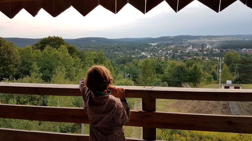 Widok z wieży widokowej w Zwierzyńcu