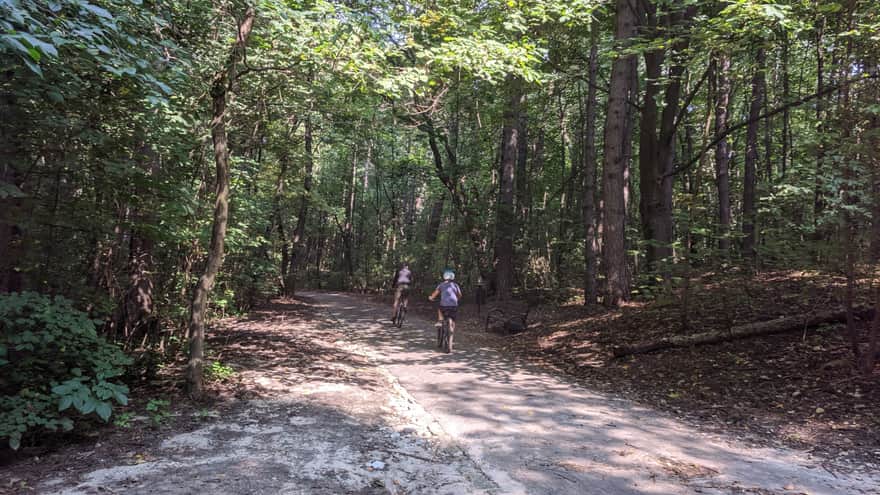 Elvis Presley Alley - an asphalt path in Twardowski Rocks Wilderness