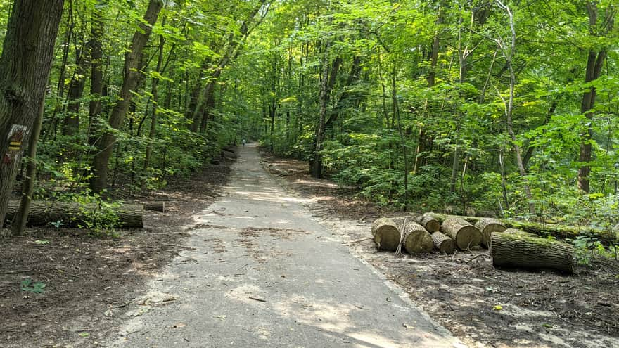 Pathways in Twardowski Rocks Park