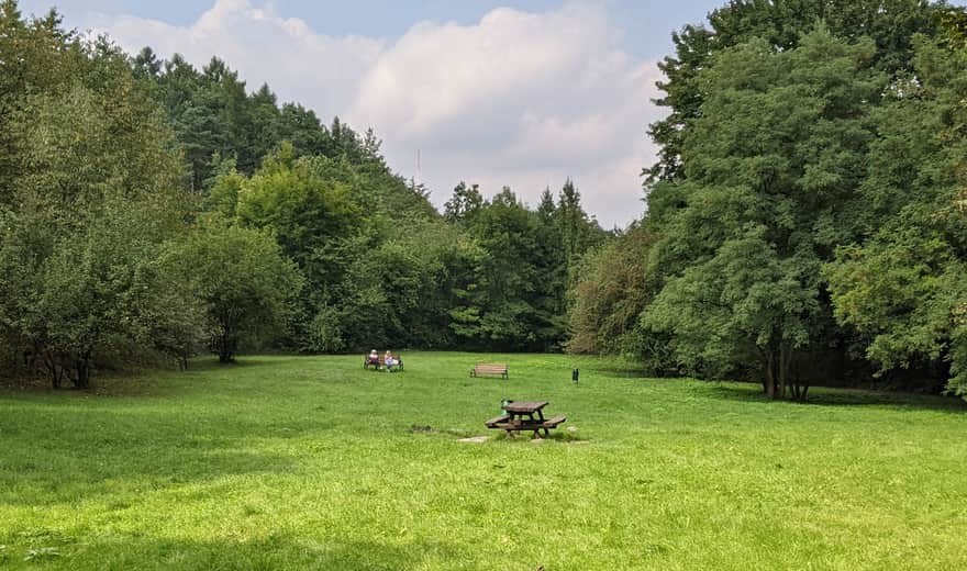 Meadow in Twardowski Rocks Park