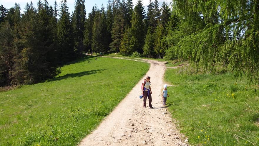 Trail from Rabka Zdrój to the mountain hut on Maciejowa