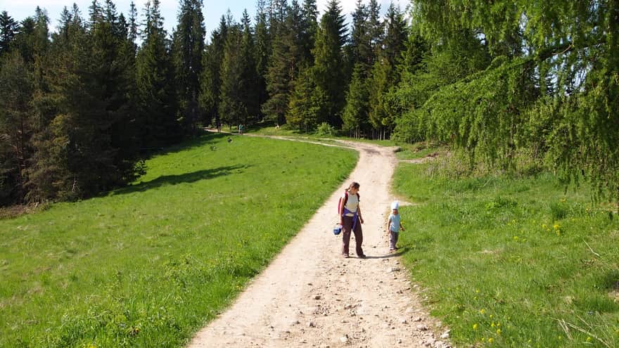 Trasa z Rabki Zdrój do schroniska na Maciejowej